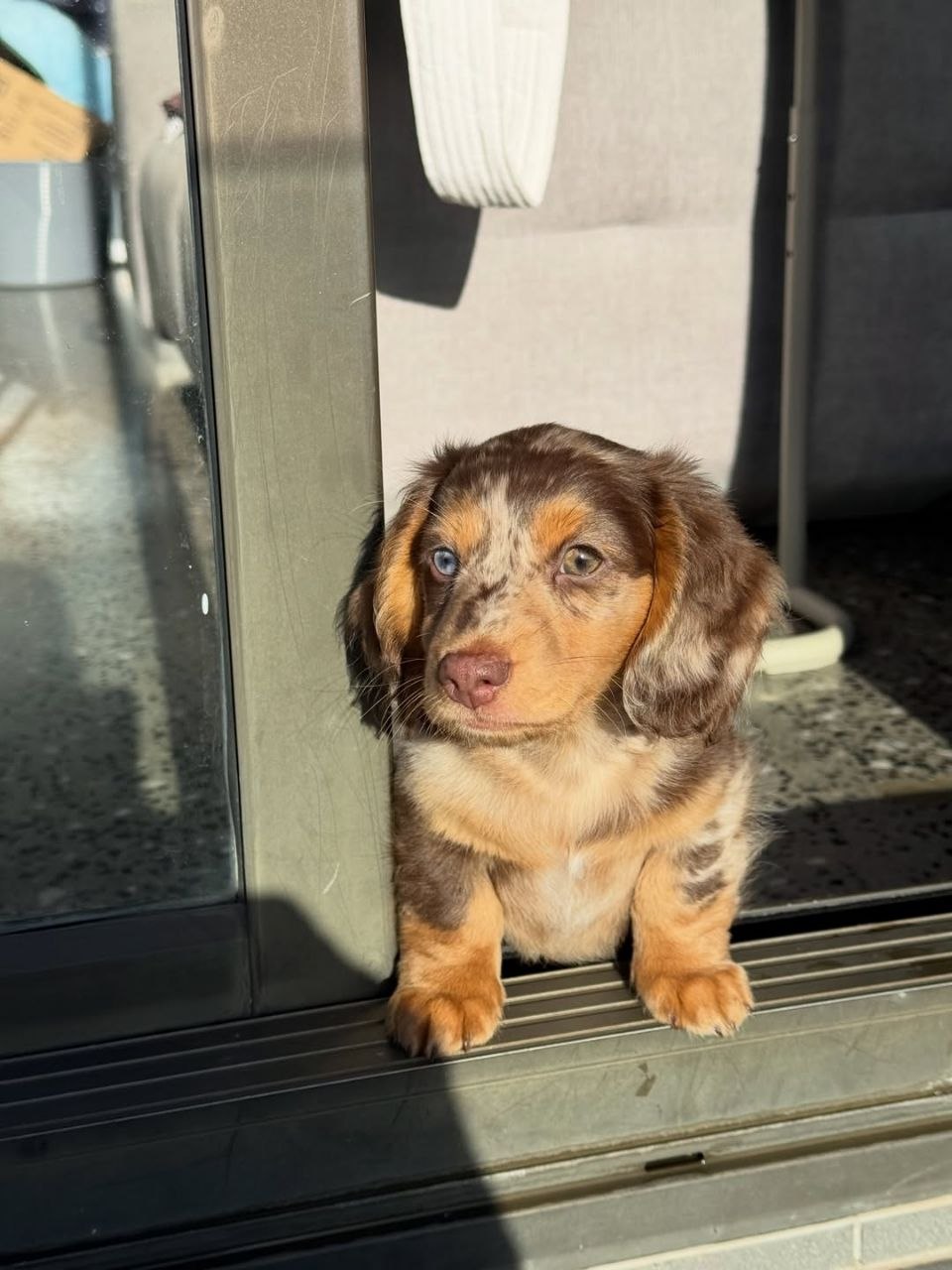 Remy