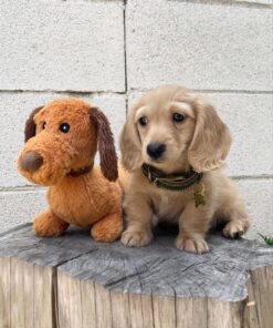 Charlie